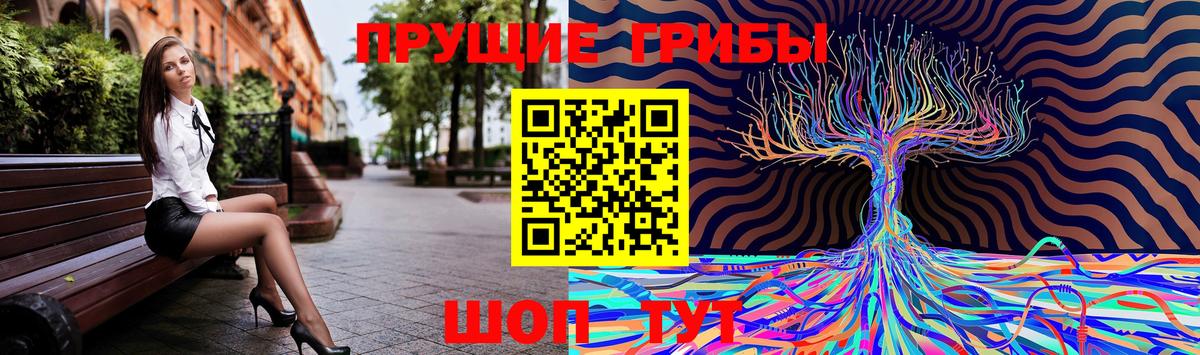Псилоцибиновые грибы мицелий Алейск