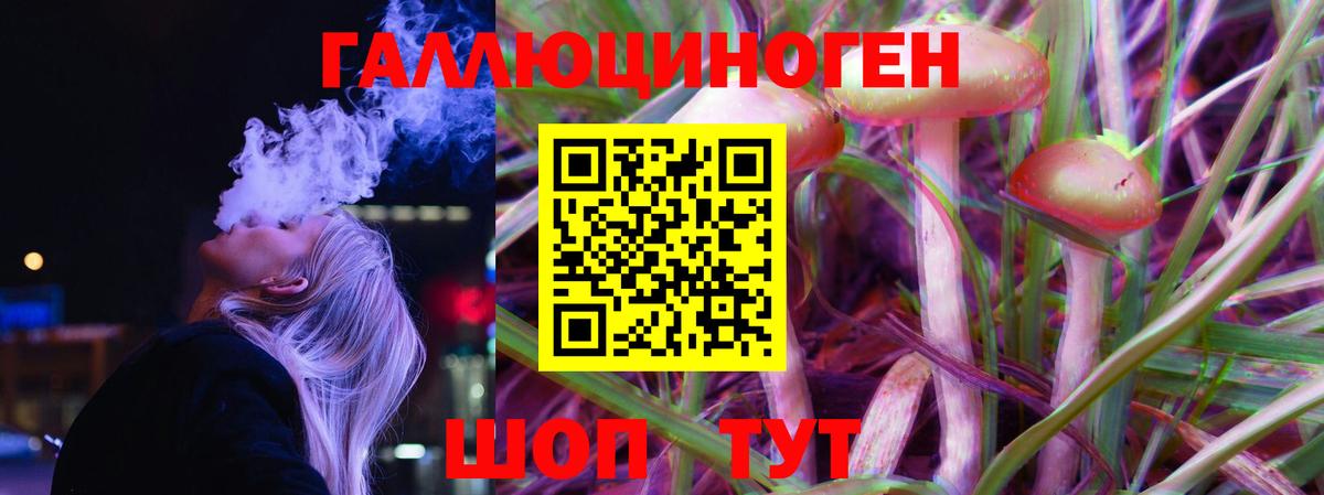 Алейск  Галлюциногенные грибы Psilocybine cubensis  Вход с VPN 